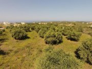 Chorafakia Kreta, Chorafakia: Olivenbäume und Meerblick - in der Nähe von Stränden Grundstück kaufen